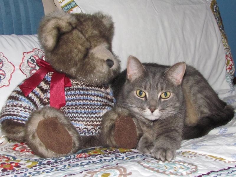 Teddy & Jingles