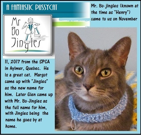 Mr. Bo-Jingles